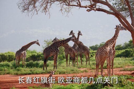 長(zhǎng)春歐亞集團(tuán)總部電話(huà)