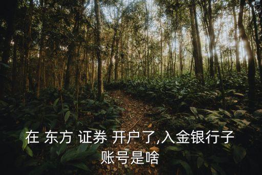 在 東方 證券 開戶了,入金銀行子賬號(hào)是啥