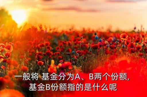 一般將 基金分為A、B兩個份額, 基金B(yǎng)份額指的是什么呢