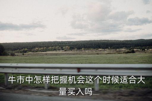  牛市中怎樣把握機(jī)會這個(gè)時(shí)候適合大量買入嗎