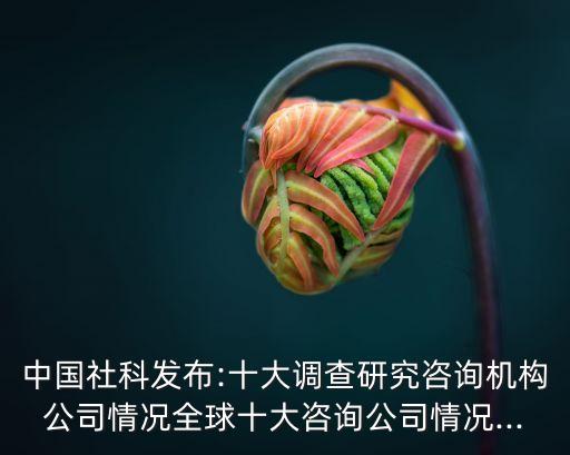 中國(guó)社科發(fā)布:十大調(diào)查研究咨詢機(jī)構(gòu)公司情況全球十大咨詢公司情況...