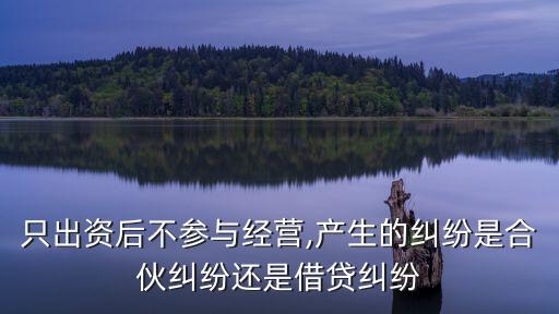 只出錢(qián)的投資