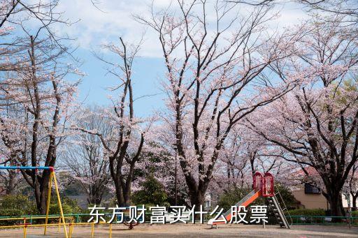 東方財(cái)富買(mǎi)什么股票