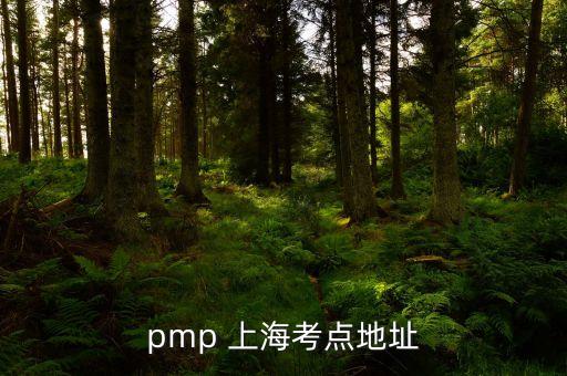 pmp 上海考點地址