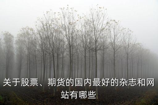 關(guān)于股票、期貨的國(guó)內(nèi)最好的雜志和網(wǎng)站有哪些