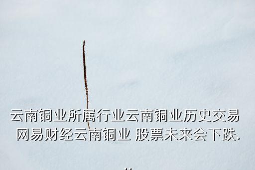 云南銅業(yè)所屬行業(yè)云南銅業(yè)歷史交易 網(wǎng)易財經(jīng)云南銅業(yè) 股票未來會下跌...