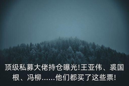 頂級(jí)私募大佬持倉(cāng)曝光!王亞偉、裘國(guó)根、馮柳……他們都買了這些票!