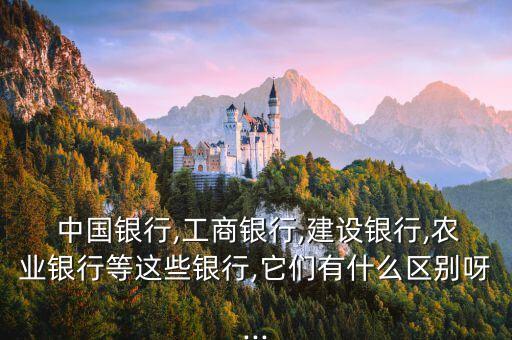  中國銀行,工商銀行,建設銀行,農(nóng)業(yè)銀行等這些銀行,它們有什么區(qū)別呀...