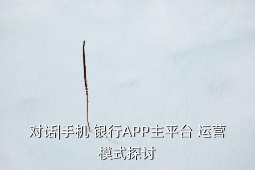 對(duì)話|手機(jī) 銀行APP主平臺(tái) 運(yùn)營模式探討