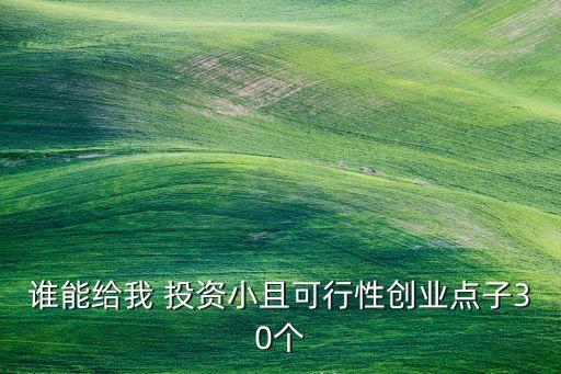 誰能給我 投資小且可行性創(chuàng)業(yè)點子30個