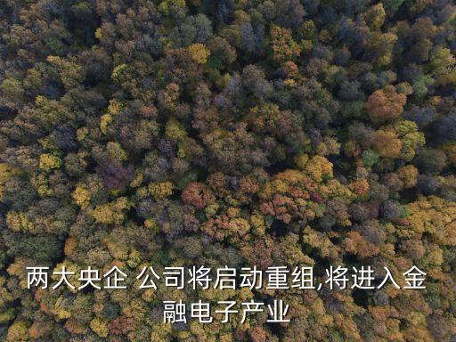 兩大央企 公司將啟動(dòng)重組,將進(jìn)入金融電子產(chǎn)業(yè)