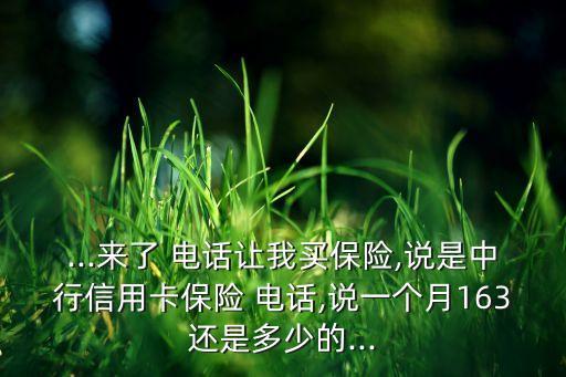 ...來了 電話讓我買保險,說是中行信用卡保險 電話,說一個月163還是多少的...