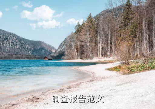 調查報告范文