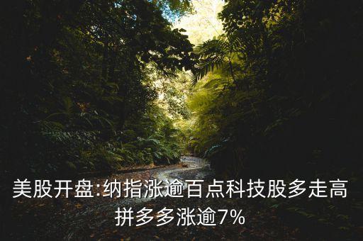 美股開(kāi)盤:納指漲逾百點(diǎn)科技股多走高拼多多漲逾7%