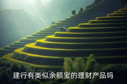 建行有類似余額寶的理財產(chǎn)品嗎