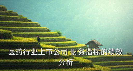 哈藥集團財務報表分析