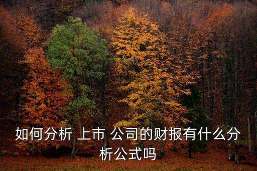 上市公司資產(chǎn)負債