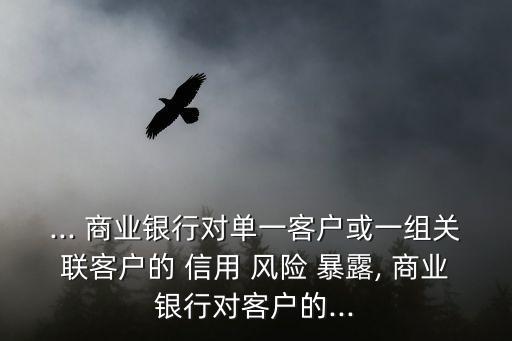 ... 商業(yè)銀行對單一客戶或一組關聯客戶的 信用 風險 暴露, 商業(yè)銀行對客戶的...
