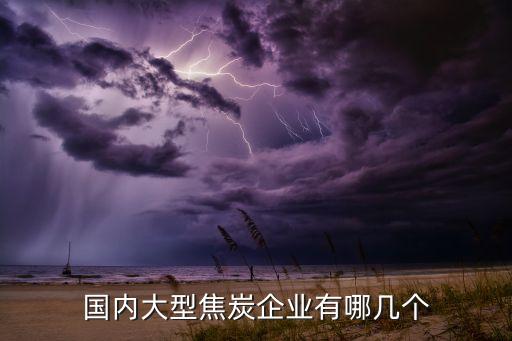 國內(nèi)大型焦炭企業(yè)有哪幾個(gè)