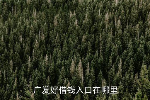 有米廣發(fā)直銷銀行不能轉出