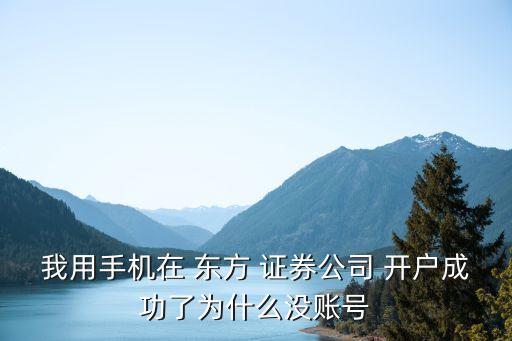 我用手機(jī)在 東方 證券公司 開戶成功了為什么沒賬號(hào)