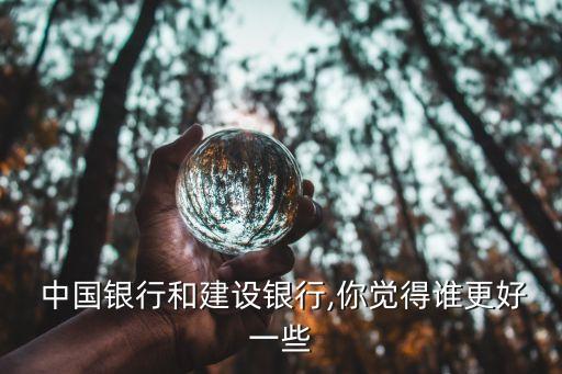 建行與中國(guó)銀行,建行中國(guó)銀行業(yè)協(xié)會(huì)最佳社會(huì)實(shí)踐案例獎(jiǎng)