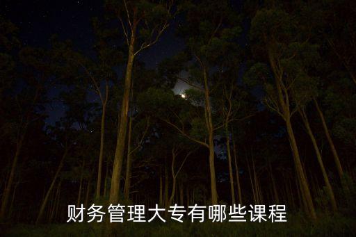 財務管理大專有哪些課程