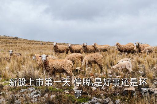 停牌的股票好不好,停牌股票的錢怎么拿回來(lái)