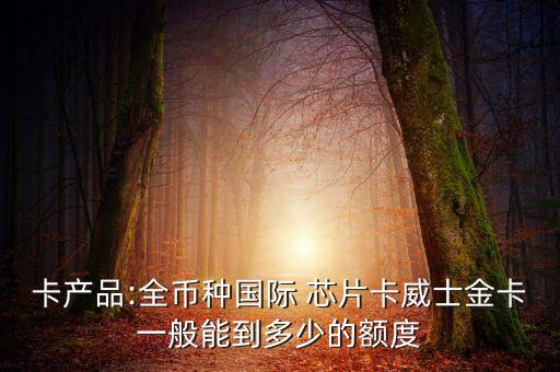 卡產(chǎn)品:全幣種國(guó)際 芯片卡威士金卡一般能到多少的額度