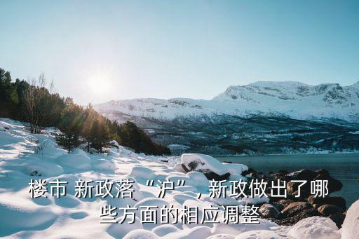 樓市 新政落“滬”, 新政做出了哪些方面的相應調整