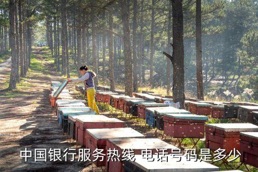  中國(guó)銀行服務(wù)熱線(xiàn) 電話(huà)號(hào)碼是多少