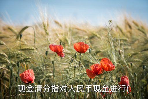 銀行間支付結算數(shù)據(jù),銀行支付結算宣傳工作總結