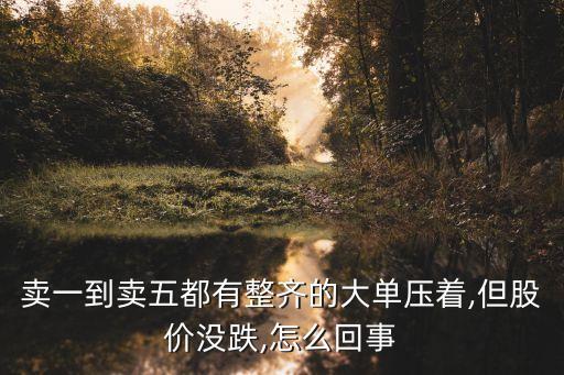賣一到賣五都有整齊的大單壓著,但股價(jià)沒跌,怎么回事