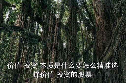 價值 投資 本質(zhì)是什么要怎么精準(zhǔn)選擇價值 投資的股票
