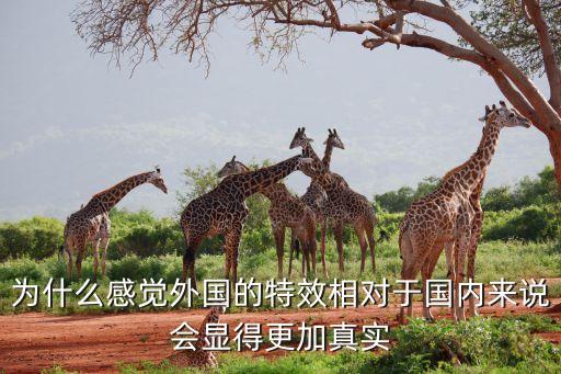 為什么感覺外國(guó)的特效相對(duì)于國(guó)內(nèi)來說會(huì)顯得更加真實(shí)
