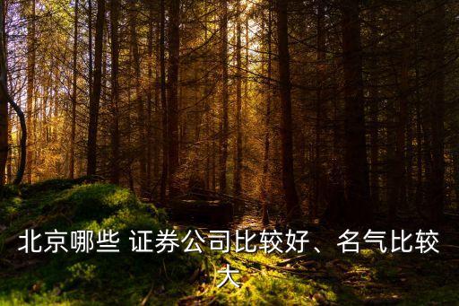 北京哪些 證券公司比較好、名氣比較大