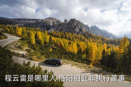 程云雷是哪里人 洛陽(yáng)鉬業(yè)非執(zhí)行董事