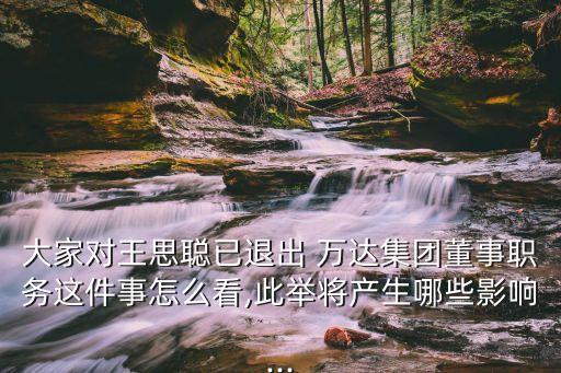 萬(wàn)達(dá)公司高管,萬(wàn)達(dá)高管被警察帶走