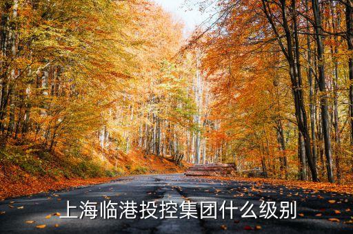  上海臨港投控集團(tuán)什么級別