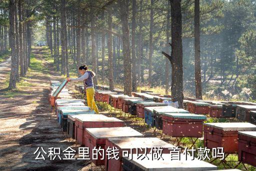 北京買房公積金可以充當首付嗎