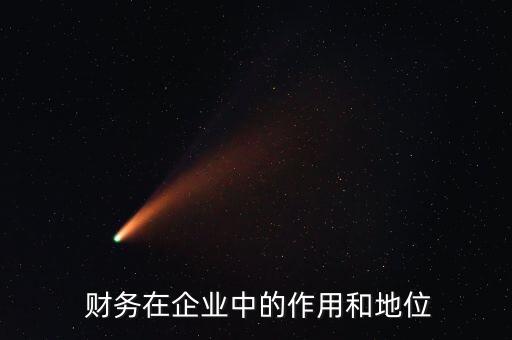  財務在企業(yè)中的作用和地位