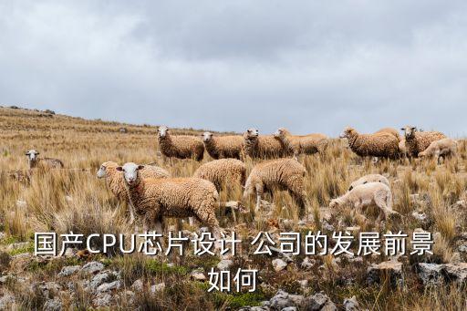 國產(chǎn)CPU芯片設計 公司的發(fā)展前景如何
