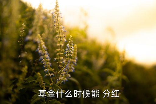  基金什么時候能 分紅