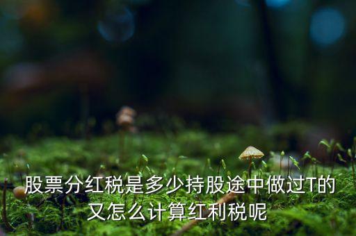  股票分紅稅是多少持股途中做過(guò)T的又怎么計(jì)算紅利稅呢