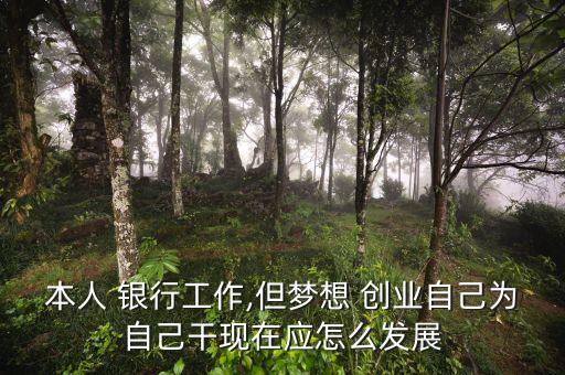 本人 銀行工作,但夢想 創(chuàng)業(yè)自己為自己干現在應怎么發(fā)展