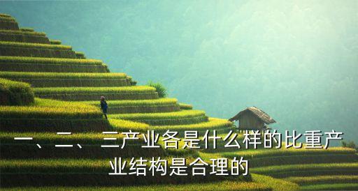 一、二、 三產(chǎn)業(yè)各是什么樣的比重產(chǎn)業(yè)結(jié)構(gòu)是合理的