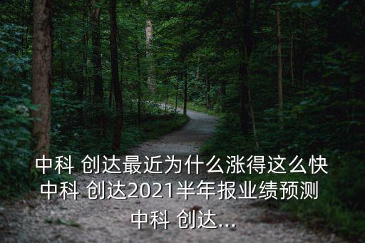世界級(jí)公司中科創(chuàng)達(dá),和中科創(chuàng)達(dá)一樣的公司