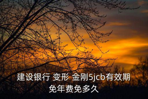 建設(shè)銀行 變形 金剛5jcb有效期免年費免多久