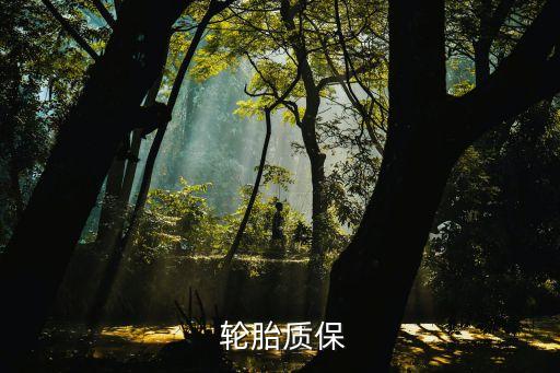  輪胎質(zhì)保