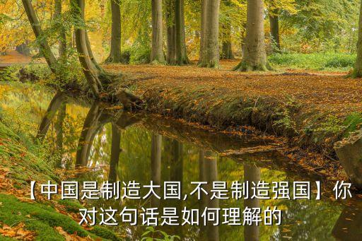 為什么中國制造業(yè)大而不強,中國制造業(yè)為什么要轉型